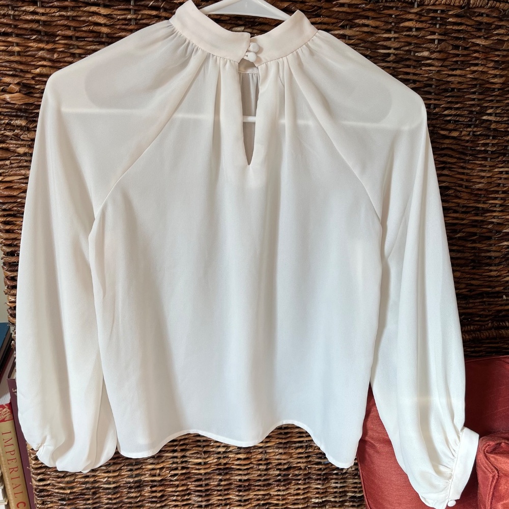 Romantic Sheer Blouse - Picture 2 of 5